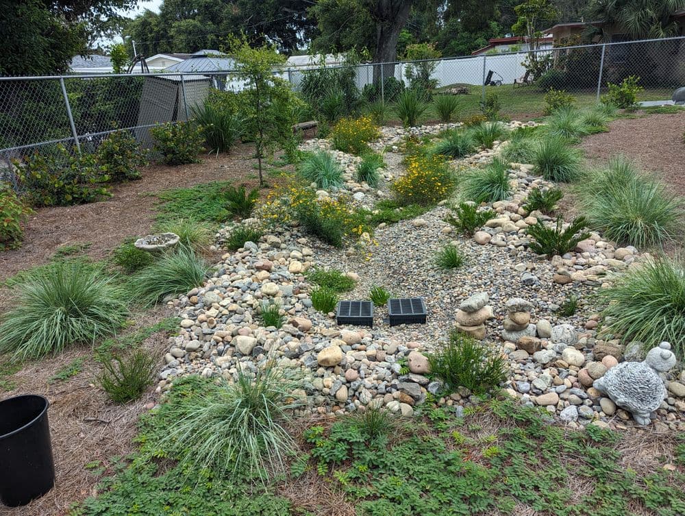Natural landscape featuring a dry creek bed filled with rocks, surrounded by diverse plants and flowers.
