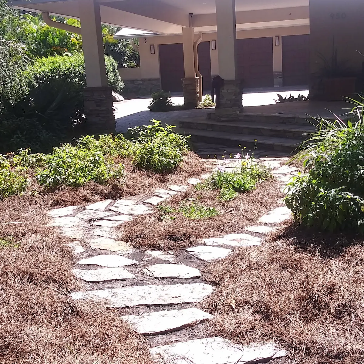 Natural flagstone pathway with pine straw mulch and native plantings by Living Spaces Gardening in Tampa Bay FL