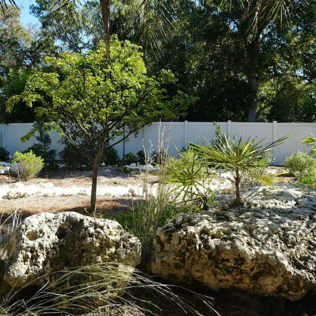 Oolite limestone boulders with native plantings installed by Living Spaces Gardening in Tarpon Springs FL