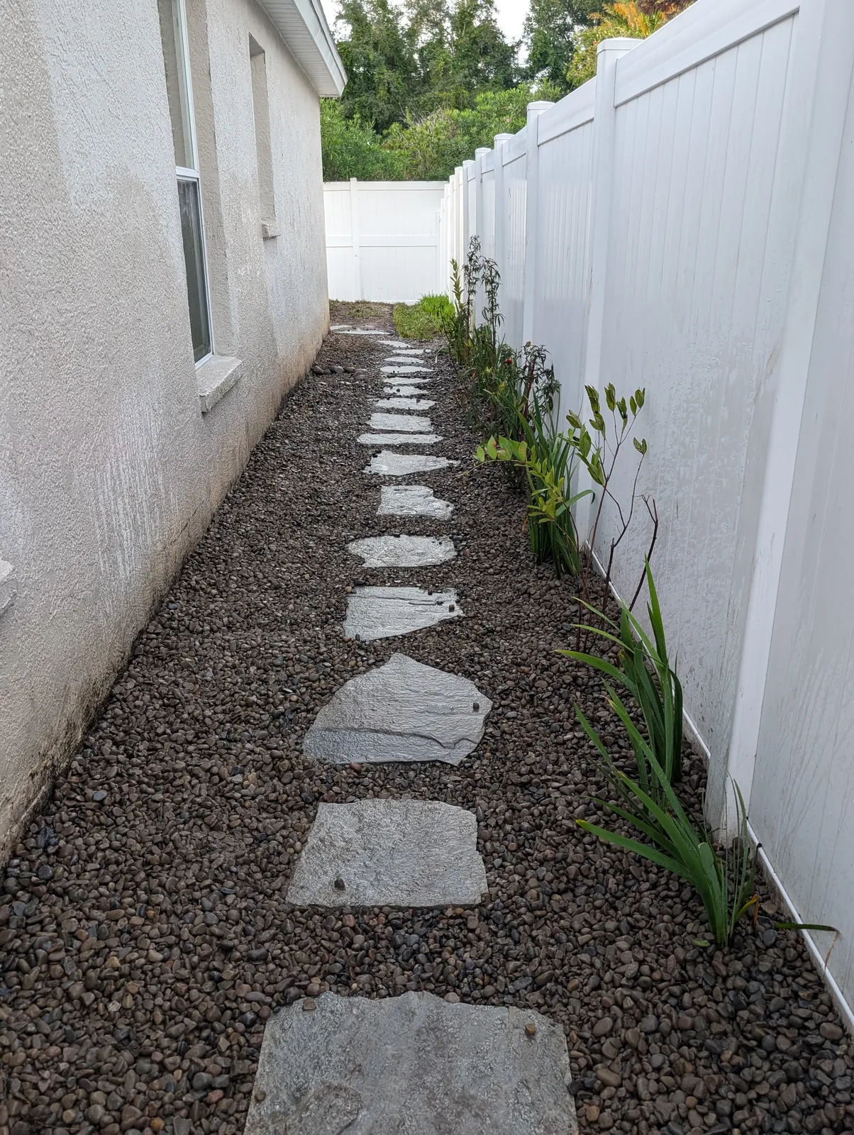Side-yard flagstone stepping stones set in river rock with native plants along a vinyl fence by Living Spaces Gardening in Tampa Bay FL