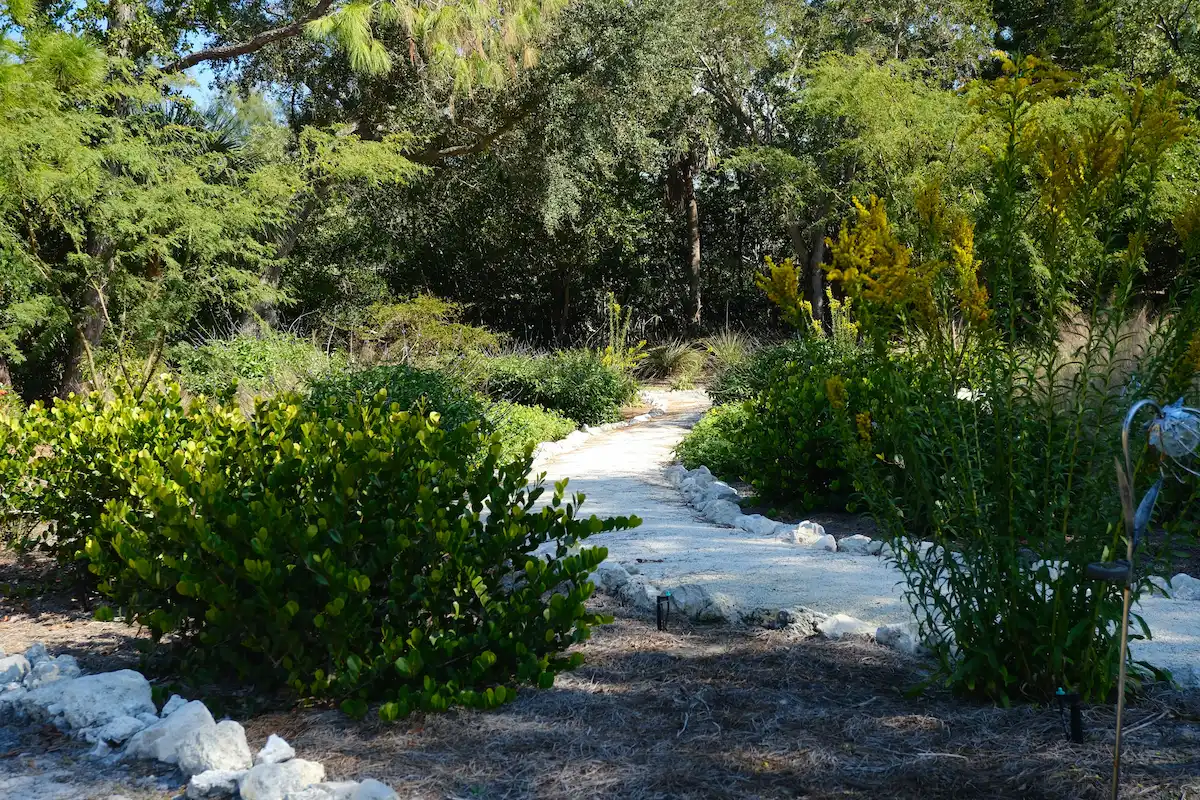 Native Florida garden with stone pathway designed by Living Spaces Gardening