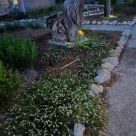 Irrigation and lighting