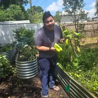 Food forest and permaculture design