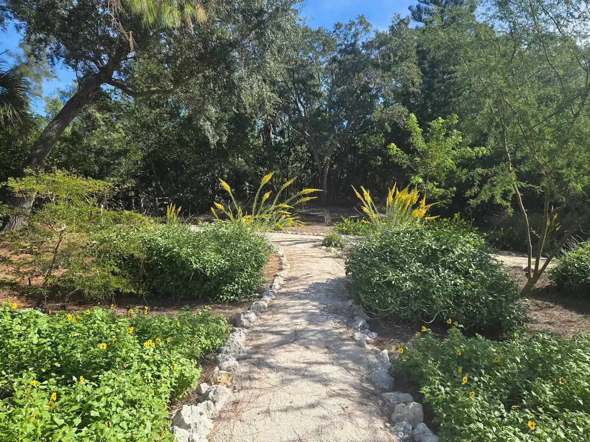 Native Florida landscape design in Tampa Bay