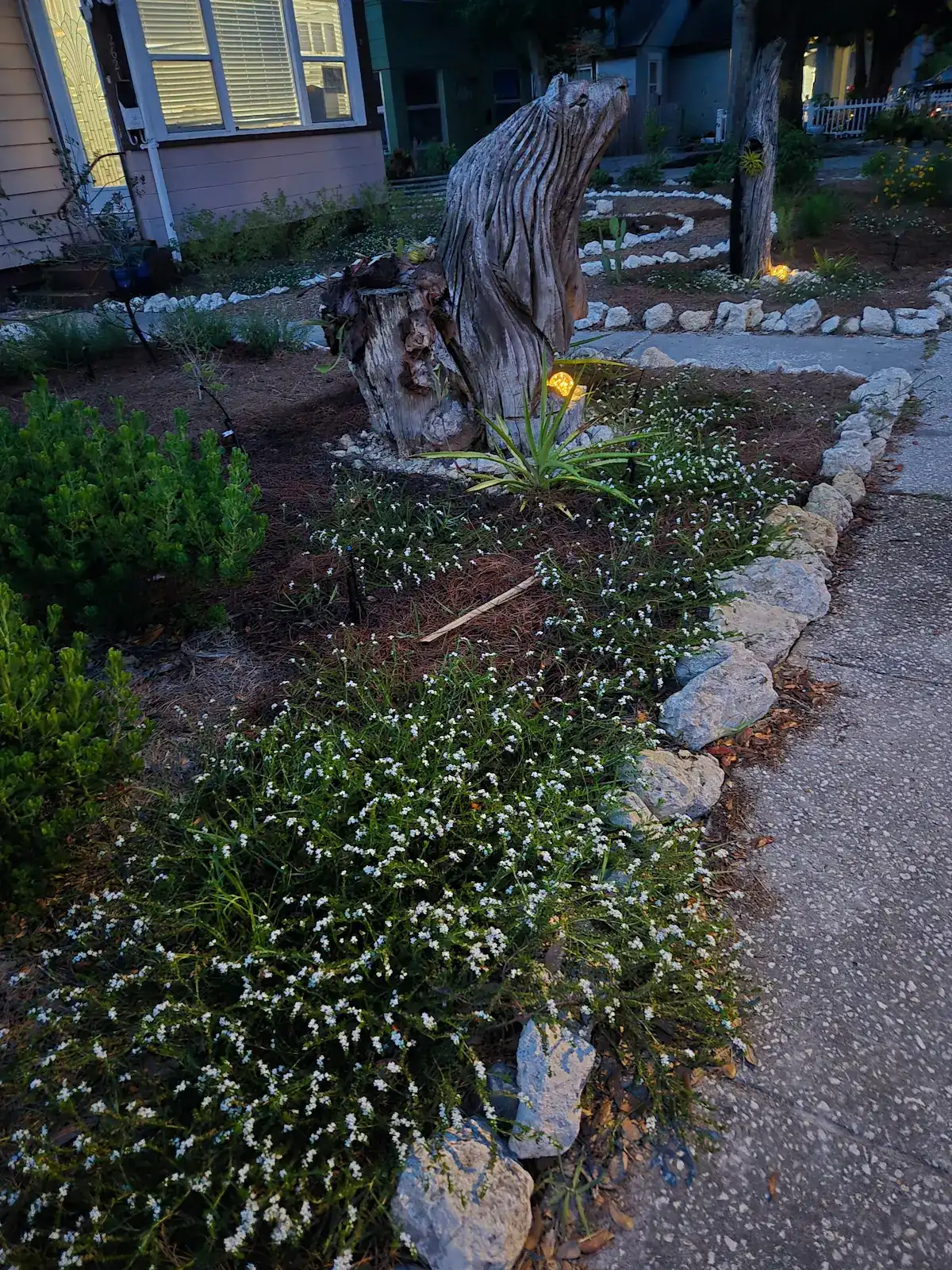 Irrigation system for native plants in Tampa Bay